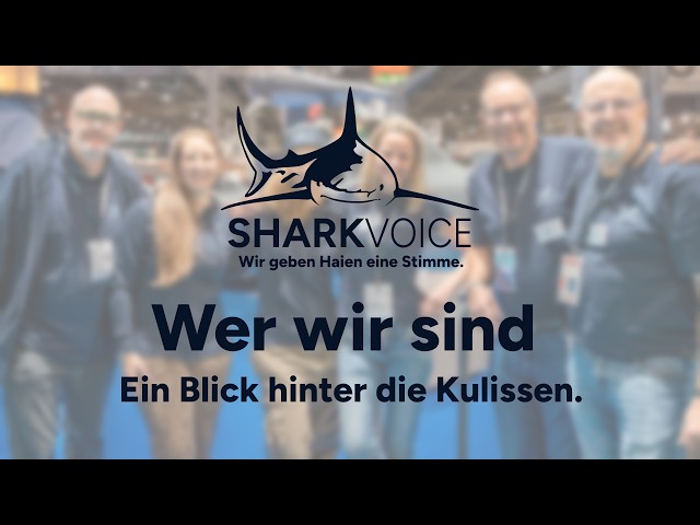 Video: Ein Blick hinter die Kulissen
