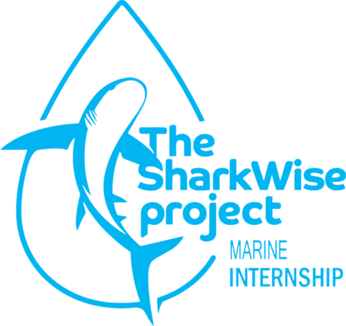 Sharkwise Project Logo