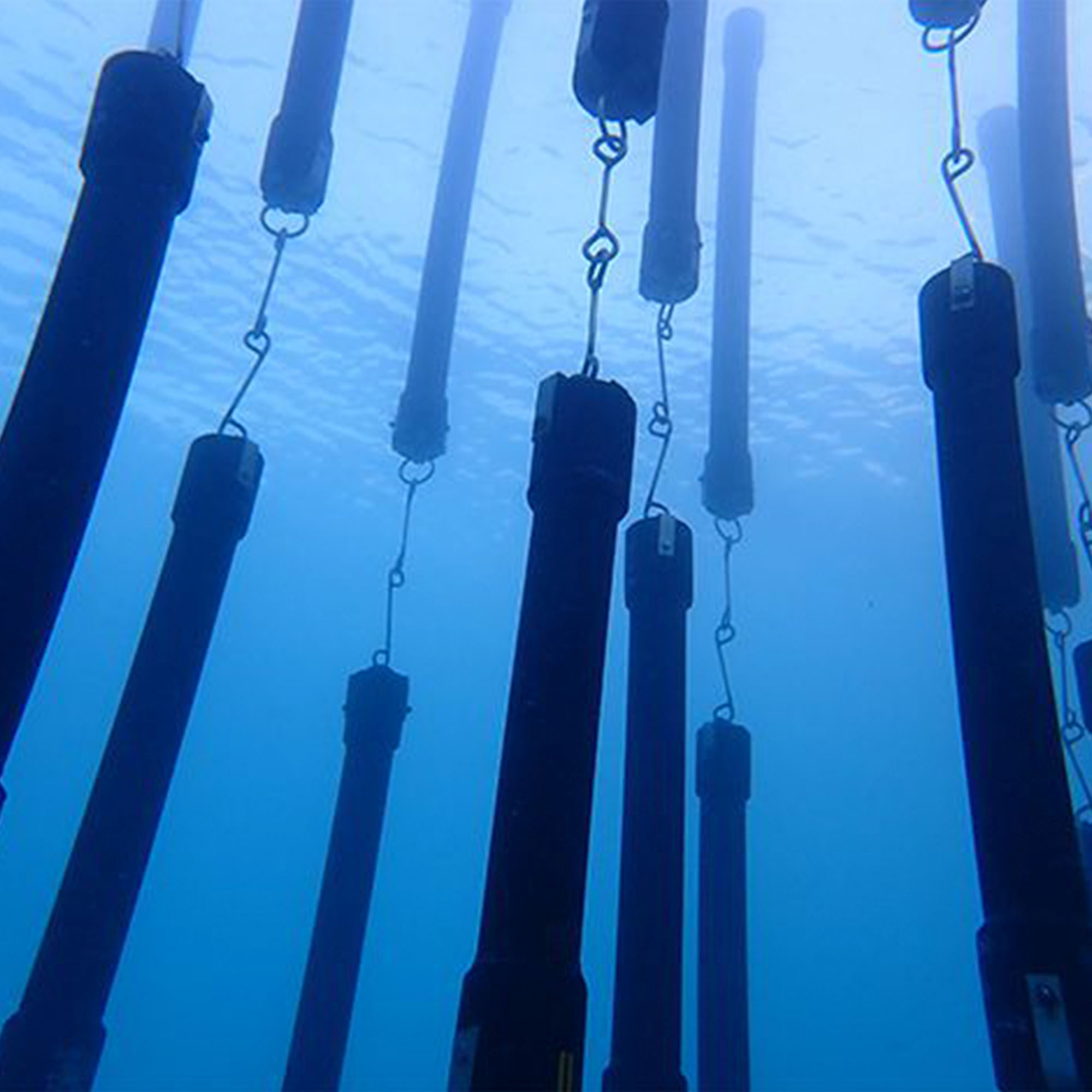 Foto einer SharkSafe Barrier