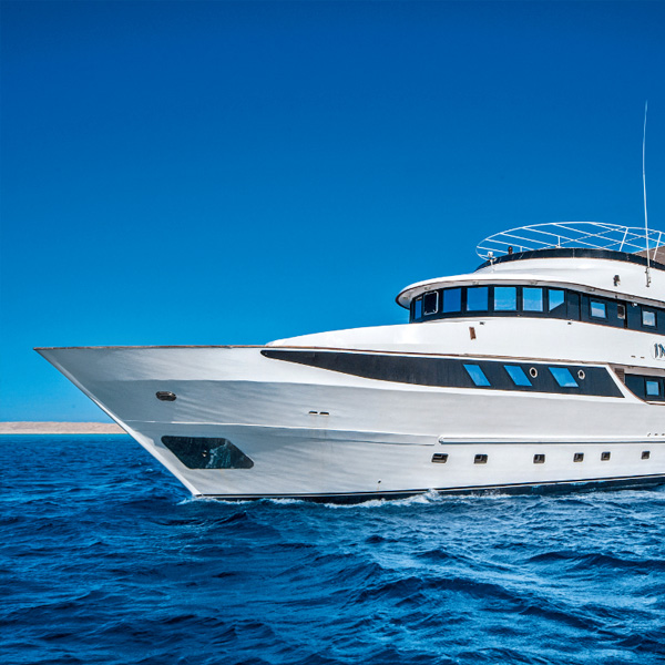 Foto der Elphinstone