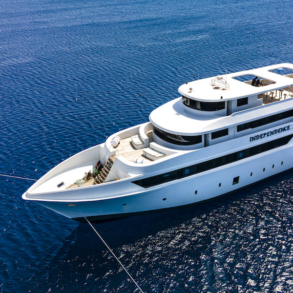 Foto der Elphinstone