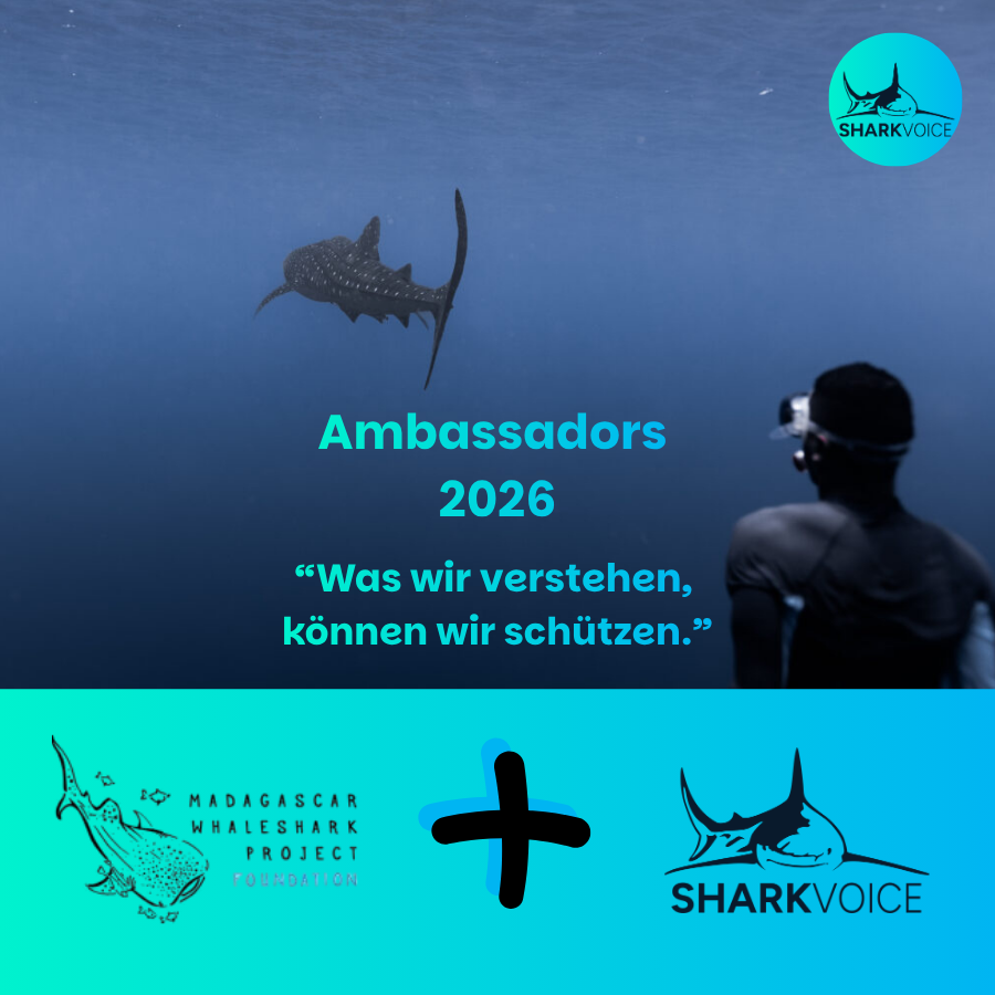 Ambassadors 2026